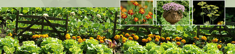 Gem&uuml;segarten